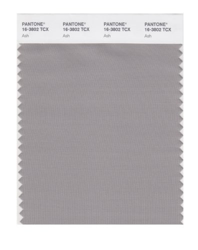 PANTONE SMART 16-3802X Color Swatch Card, Ash
