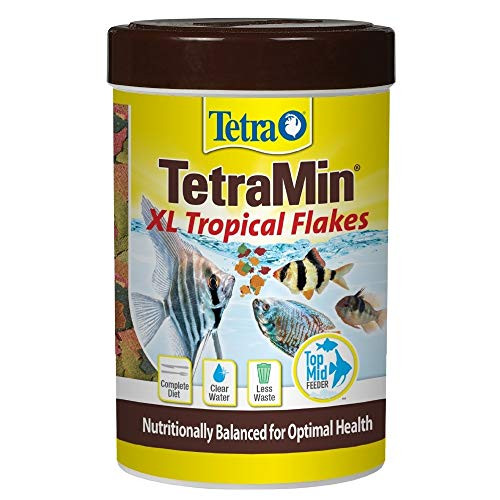 TetraMin Large Tropical Flakes for Top or Mid Feeders