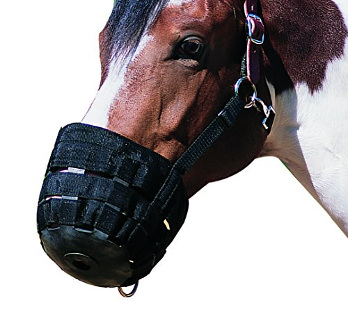 NEFTF Horse Grazing Muzzle for Horses Easy Breathe Webbing Adjustable Horse