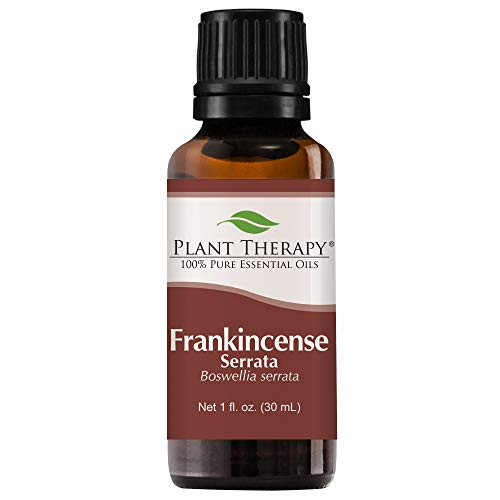 Plant Therapy Frankincense Serrata Essential Oil 100 Pure Undiluted Natural Aromatherapy Therapeutic Grade 30 mL 1 oz Plant Therapy Frankincense Serrata Essential Oil 100 Pure Undiluted Natural Aromatherapy Therapeutic Grade 30 mL 1 oz
