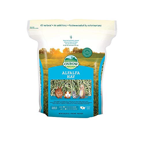 Oxbow Animal Health Alfalfa Hay for Pets 30Ounce