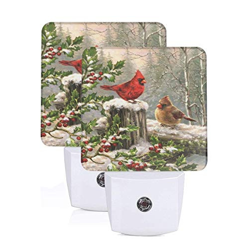 Set of 2 Led Night Lights Winter Cardinal Birds Night Light Holly Berry Branches Snow Auto DusktoDawn Sensor Night Lamp Home Decorative for Adult