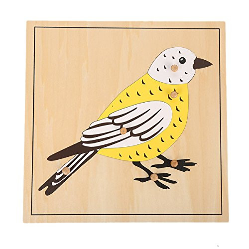 LEADER JOY Montessori Nature Materials Bird Puzzle for Early Preschool Learning Toy