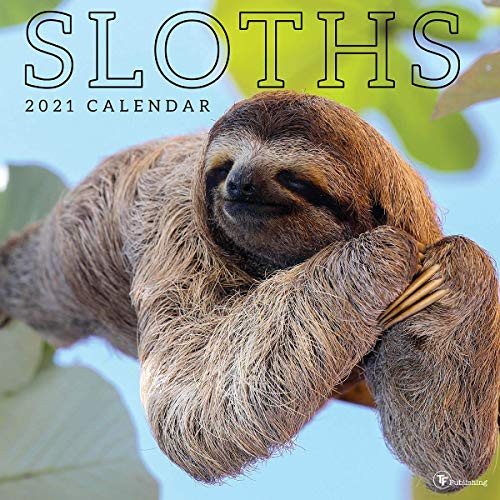 2021 Sloths 12x12 Wall Calendar