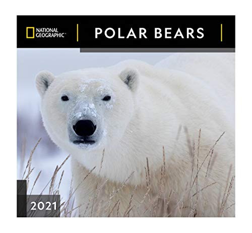 National Geographic Polar Bears 2021 Wall Calendar