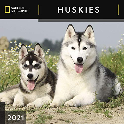 National Geographic Huskies 2021 Wall Calendar