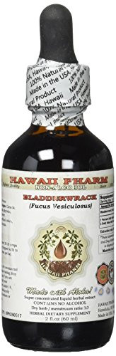 Bladderwrack AlcoholFREE Liquid Extract Bladderwrack Fucus Vesiculosus Glycerite Hawaii Pharm Natural Herbal Supplement 2 oz