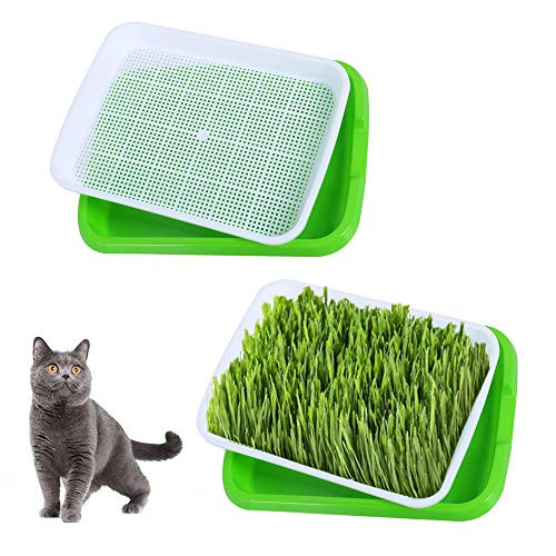 Seed Sprouter Tray2 PCS Seed Germination Tray Healthy Wheatgrass Seeds Grower  Storage Trays for Garden Home Office 125x95x18 inchLxWxH