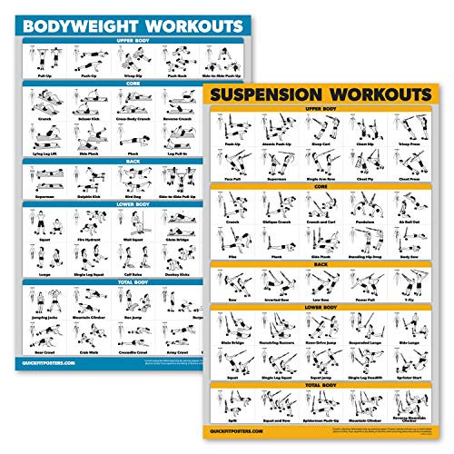 QuickFit 2 Pack  Suspension Workouts and Bodyweight Exercise Poster Set  Set of 2 Fitness Charts Laminated 18 x 27