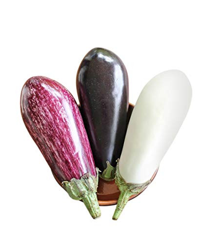 Homegrown Eggplant Seeds 300 Seeds Topsellers Eggplant