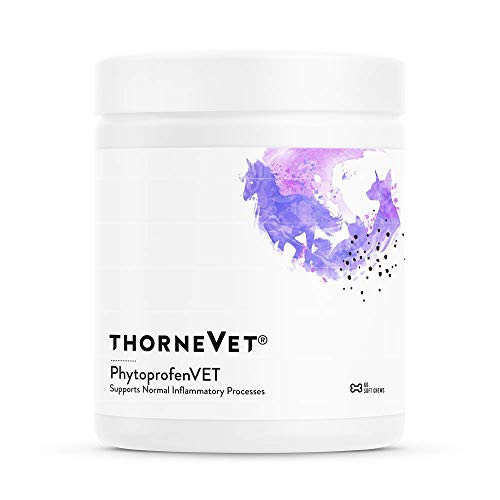 ThorneVet PhytoprofenVET  Inflammatory Support for Dogs Cats  Horses 60 Soft Chews