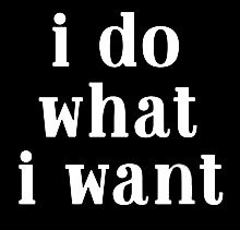 LLI I Do What I Want  Decal Vinyl Sticker  Cars Trucks Vans Walls Laptop  White 55 x 52 in  LLI888