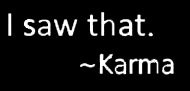 LLI I Saw That Karma  Decal Vinyl Sticker  Cars Trucks Vans Walls Laptop  White 55 x 21 in  LLI902