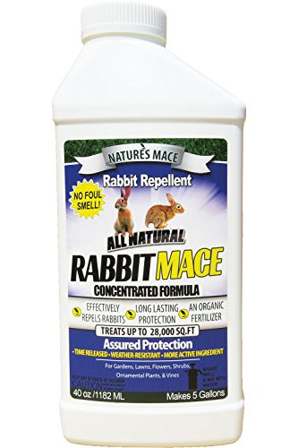 Natures Mace Rabbit MACE 40oz Concentrate