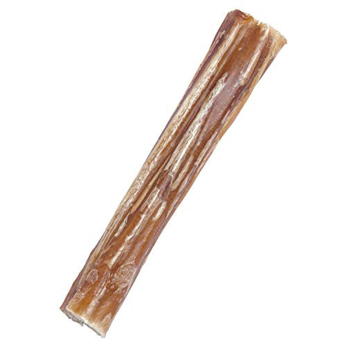 EcoKind Pet Treats AllNatural Premium 4 Inch Bully Sticks for Dogs  16 Oz Bag  Delicious Protein Rich Dog Chews