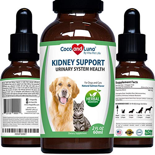 Kidney Support for Dogs and Cats  Healthy Weight Normal Kidney Function  with Astragalus Dandelion Root Cranberry and Echinacea  2oz 60ml
