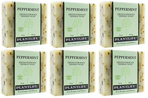 Peppermint Soap Value Pack  100 Pure  Natural Aromatherapy Herbal Soap  4 oz Each Bar Pack of 6 Bars