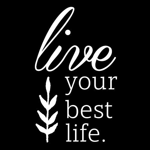 Live Your Best Life NOK Decal Vinyl Sticker Cars Trucks Vans Walls LaptopWhite55 x 35 inNOK184 Live Your Best Life NOK Decal Vinyl Sticker Cars Trucks Vans Walls LaptopWhite55 x 35 inNOK184