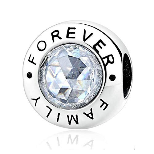 Family Charm in 925 Sterling Silver with Clear Stone Fit Pandora Bracelets Jewelry Making Family Charm in 925 Sterling Silver with Clear Stone Fit Pandora Bracelets Jewelry Making