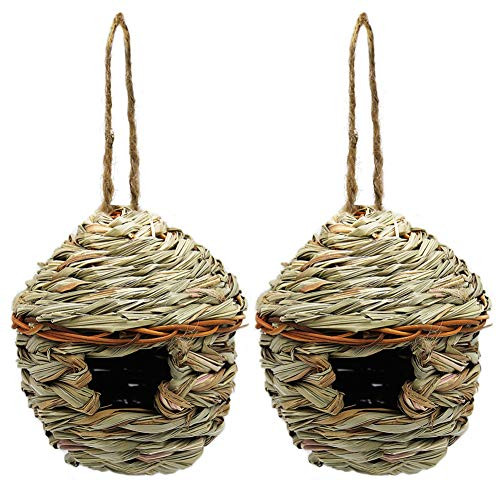 winemana Grass Hand Woven Birdhouse Outside Grass Hanging Bird Hut Natural Hummingbird Nest for Outdoor 2 Pack Reed winemana Grass Hand Woven Birdhouse Outside Grass Hanging Bird Hut Natural Hummingbird Nest for Outdoor 2 Pack Reed