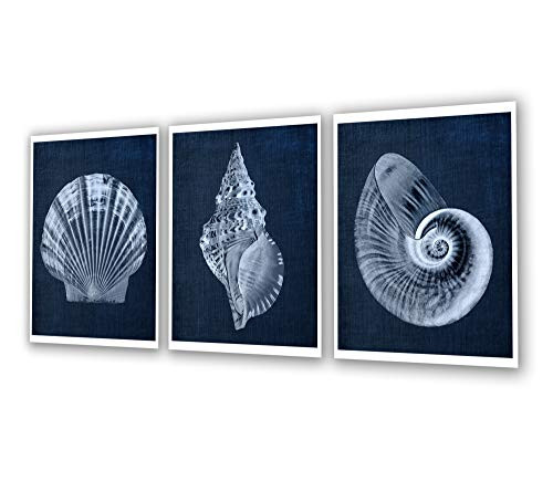Navy Blue Beach Decor Seashells Wall Art set of 3 Unframed Prints