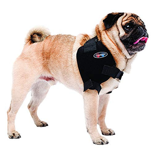 Caldera Pet Therapy Shoulder Pet Therapy Wrap with Therapy Gel Small