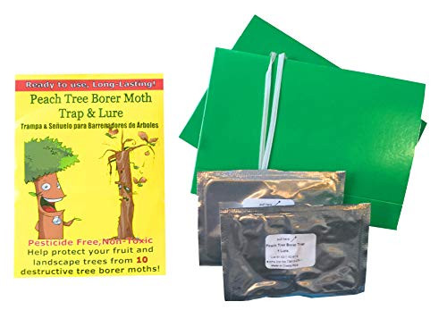 VivaTrap! Peach Tree Borer Moth Trap and Long Life Lure 2 Pack 8 Week