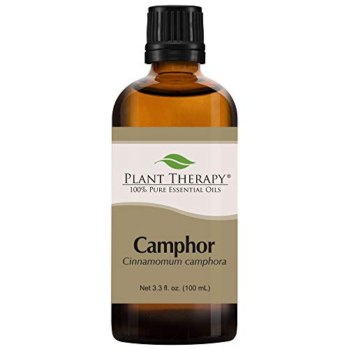 Plant Therapy Camphor White Essential Oil 100 mL 33 oz 100 Pure Undiluted Therapeutic Grade Plant Therapy Camphor White Essential Oil 100 mL 33 oz 100 Pure Undiluted Therapeutic Grade