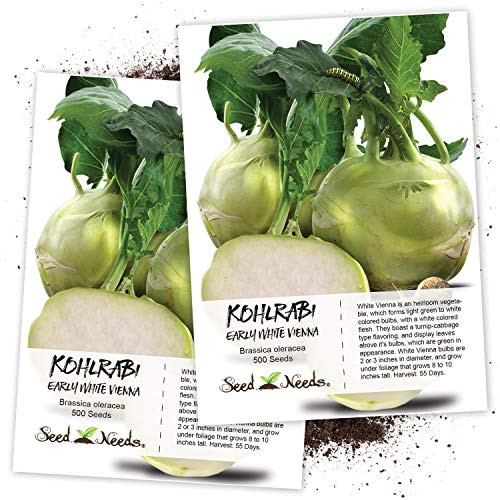 Seed Needs Early White Vienna Kohlrabi Brassica oleracea Twin Pack of 500 Seeds Each NonGMO Seed Needs Early White Vienna Kohlrabi Brassica oleracea Twin Pack of 500 Seeds Each NonGMO