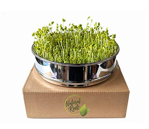 Stainless Steel Seed Sprouting Tray8 Inch Stackable Sprouter Kit for Growing Fresh Organic Broccoli Sprouts Wheat Grass Alfalfa Seeds Fenugreek Mung Beans and More Seeds not Included
