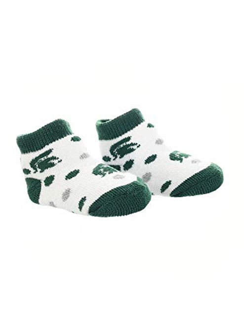 TCK Michigan State Spartans Toddler Socks Low Cut Little Fan GreenGreyWhite 2T4T TCK Michigan State Spartans Toddler Socks Low Cut Little Fan GreenGreyWhite 2T4T