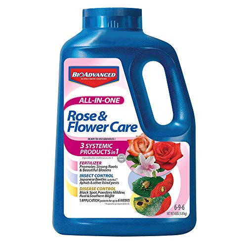 BioAdvanced 701116E AllinOne Rose  Flower Care Systemic Fertilizer with Insect and Disease Protection Granules