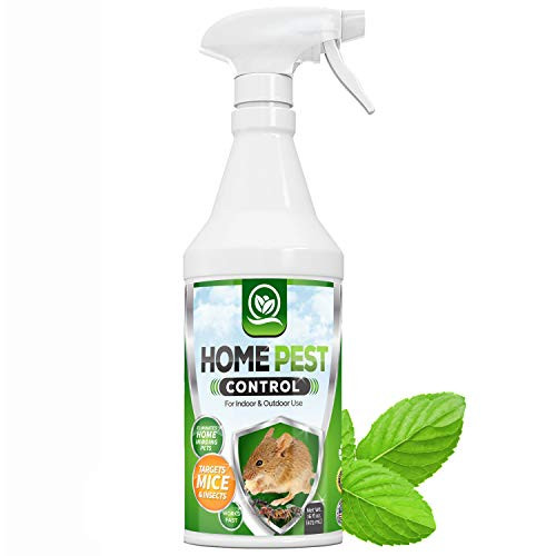NATURAL OUST Peppermint Oil Mouse Repellent Spray  Roach Ant Spider Bug Insect Killer  Eco Friendly Pest Control to Repel Mice  Humane Repeller Alternative to Trap
