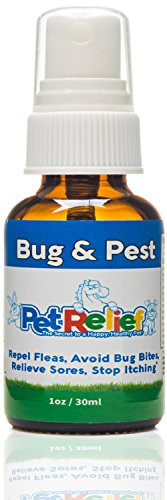 Flea Control Pet Relief Flea Tick Spray For Dogs 100 Natural! 30ml Safe Medicine For Fleas Dogs Better Than Flea Collar Or Comb Flea And Tick Prevention For Dogs Made In USA