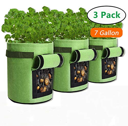 Vegetable Planter Bag3 Pack Potato Grow Bags7 Gallon Plant Potato Pots Nonwoven Fabric Plant Growing BagsPortable Garden Plant Bag Vegetables Growing Container for Potato Carrot Green 3Pcs Vegetable Planter Bag3 Pack Potato Grow Bags7 Gallon Plant Potato Pots Nonwoven Fabric Plant Growing BagsPortable Garden Plant Bag Vegetables Growing Container for Potato Carrot Green 3Pcs