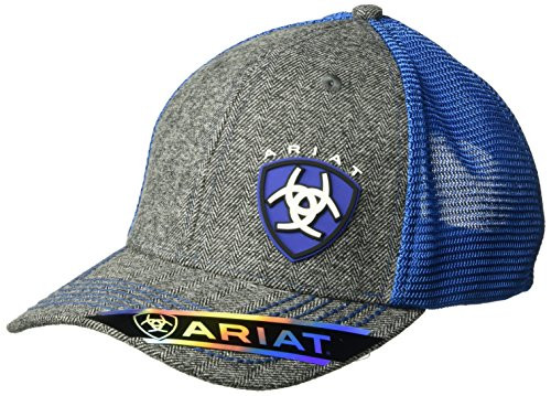 ARIAT Mens Gray Heather Blue Shine Mesh Snap Back Hat One Size