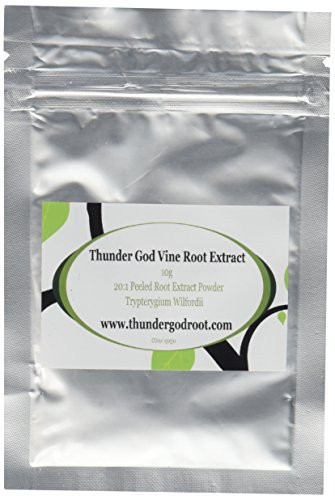 Thunder God Vine Root Extract 201 Tripterygium Wilfordii