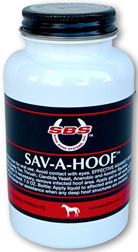 SBS Equine Item 307 hoof Treatment Brushon Size