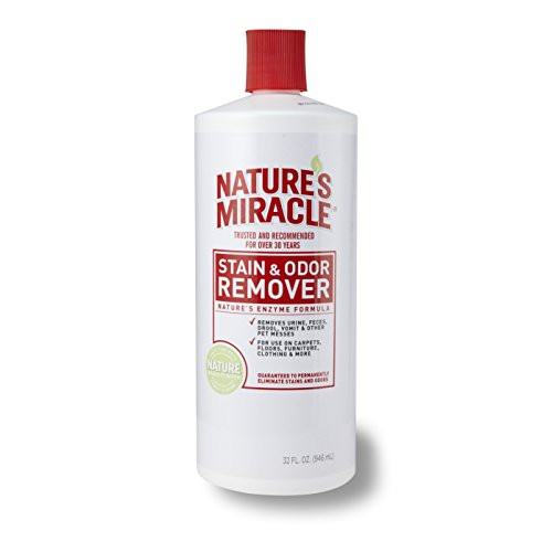 Natures Miracle Stain  Odor Remover 32Ounce Pour Bottle 5125