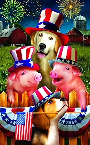 Fourth on the farm 300 Piece Jigsaw Puzzle by SunsOut