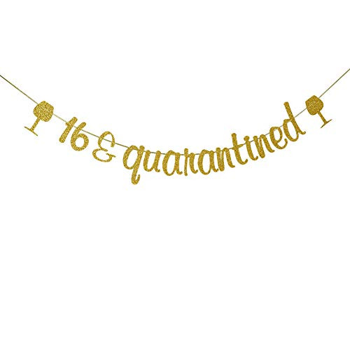 16  Quarantined Banner 16th Birthday Party Decorations Happy 16th Birthday Party Sign Gold Glitter