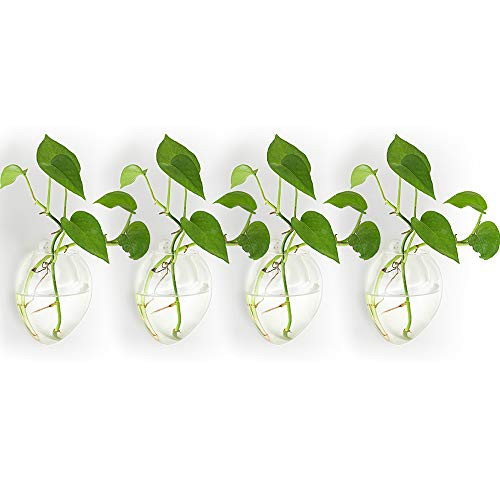 Nuptio 4 Pcs Wall Hanging Glass Planters Plant Pot  Water Planting Vases Air Flower Vase Plant Terrariums Plant Container