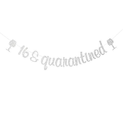 16 Quarantined Banner 16th Birthday Party Decorations Happy 16th Birthday Party Sign Silver Glitter 16 Quarantined Banner 16th Birthday Party Decorations Happy 16th Birthday Party Sign Silver Glitter