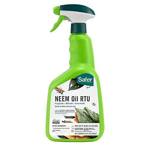 Safer Brand 5180-6 Neem Oil Ready-to-Use Fungicide, 1 Pack Green