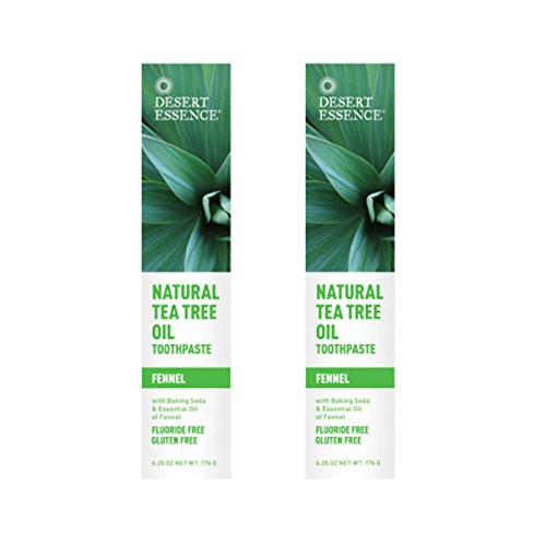 Desert Essence Natural Tea Tree Oil Fennel Toothpaste 625 Ounce  2 per case