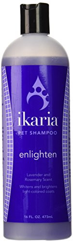 Ikaria Pet Shampoo 16Ounce Enlighten