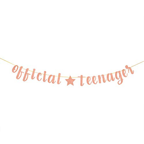 Rose Gold Official Teenager Banner 13th Birthday Banner 13th Birthday Party Decoratons 13th Birthday Party Sign