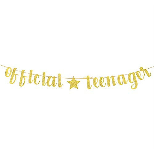 Gold Official Teenager Banner 13th Birthday Banner 13th Birthday Party Decoratons 13th Birthday Party Sign