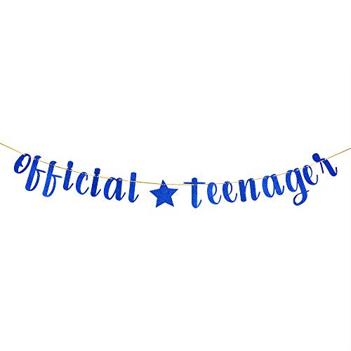 Blue Official Teenager Banner 13th Birthday Banner 13th Birthday Party Decoratons 13th Birthday Party Sign