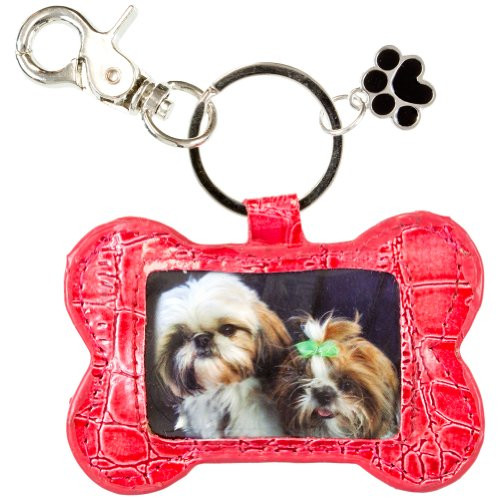 Dog Bone Key Chain Colors may Vary
